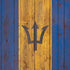 Barbados Flag Dark Wood iPhone XS Skin